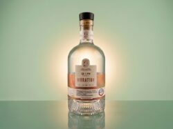 GIN VIBRATION Distillerie Chevreuse